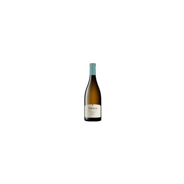Terra Madre Agua Colheita Branco