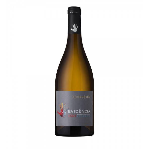 Evidência Dão Reserva Encruzado Branco